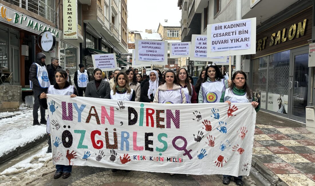 Hakkari’de KESK Şubeler Platformu Kadın Meclisi, 8 Mart Dünya Emekçi