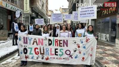 Hakkari’de KESK Şubeler Platformu Kadın Meclisi, 8 Mart Dünya Emekçi