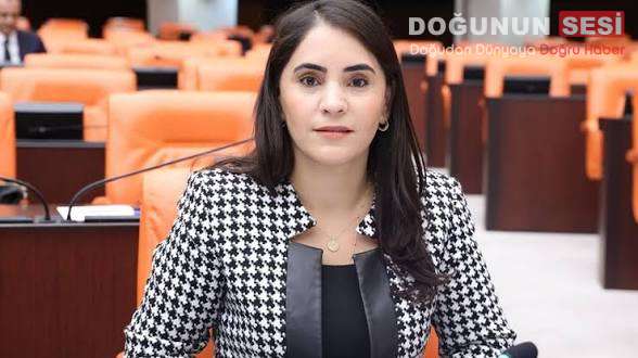 Nevroz Uysal Aslan Şırnak’taki Taşımacılık Krizini Meclise Taşıdı DEM Parti Şırnak Milletvekili Nevroz Uysal Aslan, Şırnak’ta TIR şoförlerinin