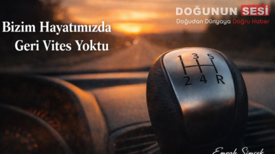 Bizim hayatımız bir arabanın manuel vitesi gibiydi. Her dişlisi ayrı bir