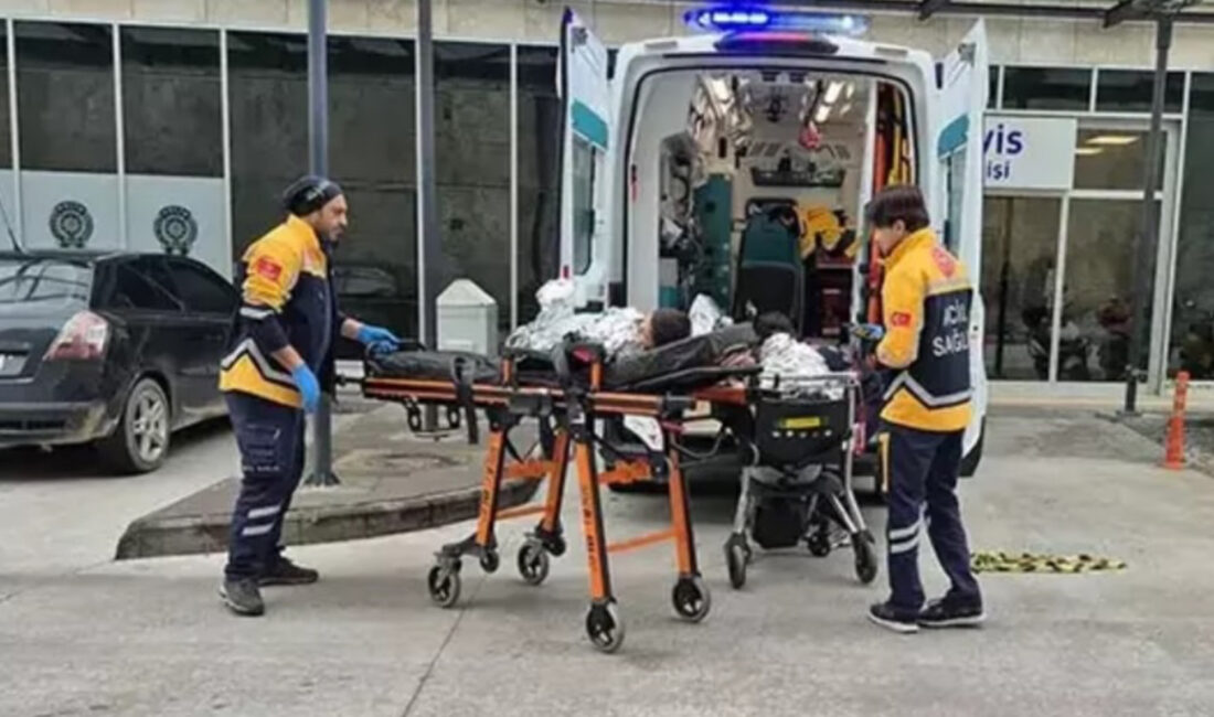 Bodrum Açıklarında Facia: Göçmen Botu Battı, 11 Kişi Hayatını Kaybetti Muğla’nın Bodrum ilçesi açıklarında göçmenleri taşıyan lastik botun batması sonucu