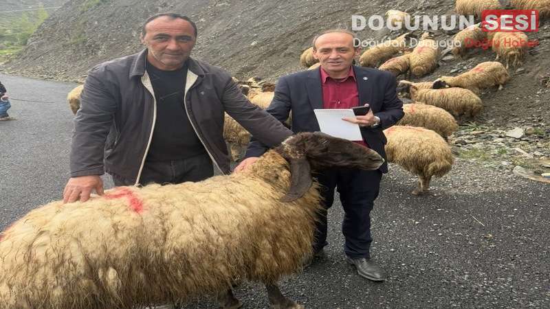 Hakkari’de kısa süre önce kurulan İhya ve İnfak Derneği, Kurban