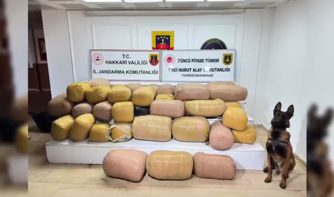 Hakkari’de JİHA Destekli Uyuşturucu Operasyonu: 626 Kilogram Uyuşturucu Ele Geçirildi Hakkari’de uyuşturucu madde imalatçıları ve zehir tacirlerine yönelik Jandarma ekipleri