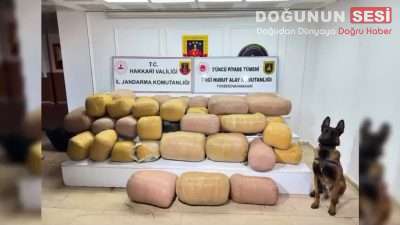 Hakkari’de uyuşturucu madde imalatçıları ve zehir tacirlerine yönelik Jandarma ekipleri