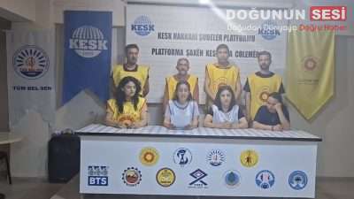 Eğitim Sen Hakkari İl Başkanlığı, Ankara’da haklarını savunmak için eylem
