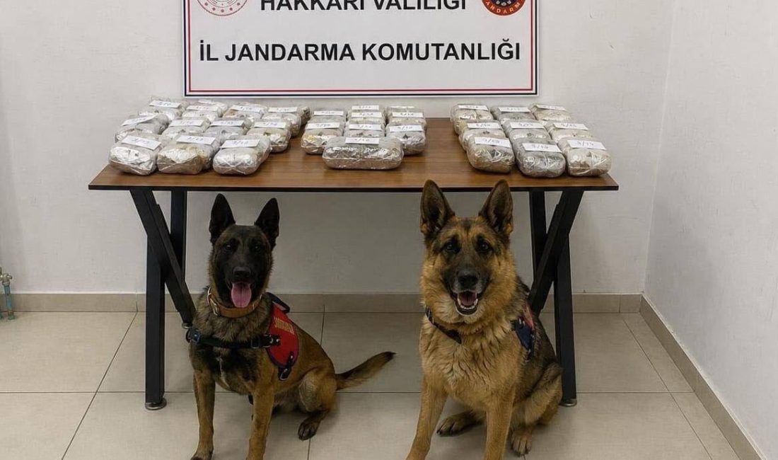 Jandarma ekiplerinin Hakkâri’nin de aralarında bulunduğu 24 ilde uyuşturucu satıcılarına