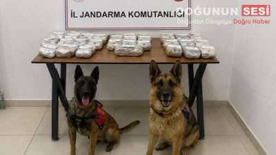 Jandarma ekiplerinin Hakkâri’nin de aralarında bulunduğu 24 ilde uyuşturucu satıcılarına