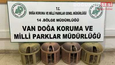 Van’ın Çatak ilçesinde gerçekleştirilen denetimlerde, kafes avcılığı yaptığı tespit edilen
