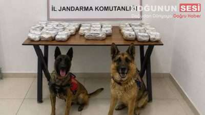 Hakkâri İl Jandarma Komutanlığı ekiplerince uyuşturucu ile mücadele kapsamında yürütülen