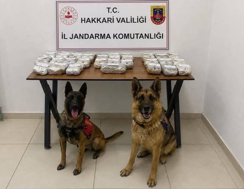 Hakkâri İl Jandarma Komutanlığı ekiplerince uyuşturucu ile mücadele kapsamında yürütülen