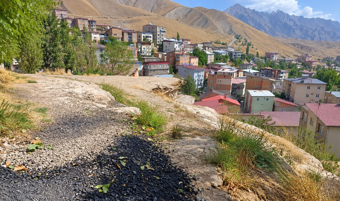 Hakkâri Merkez Bulak Mahallesi 1021. Sokak’ta yaşayan vatandaşlar, yaklaşık 30
